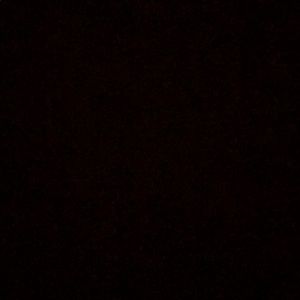 Meet your Posher, Lilia